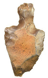 uMuseum Stone Age Primitive Artifact Aterian Stem Levallois Tool ~2"