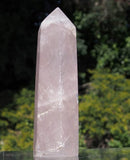uWands Rose Quartz Wand Crystal Single Terminated 6-Sided 3.5 Inch
