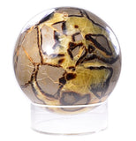 Dragon Stone Sphere Ball Septarian 10 Pounds