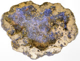 uMuseum Druzy Agate Titanium Mineral Specimen Colors Pocket Geode