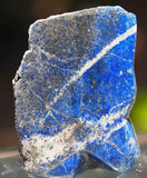 uMuseum Lapis Lazuli Pyrite Fine Rock Stone Freeform Specimen Slab